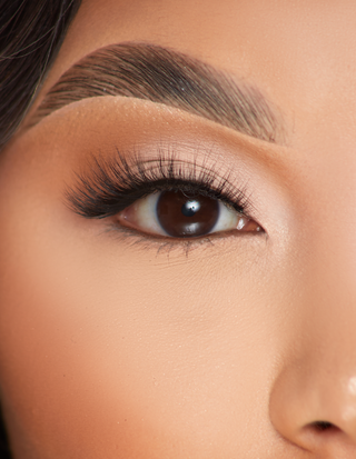 P.Louise Lashes - Le goût de la taquinerie