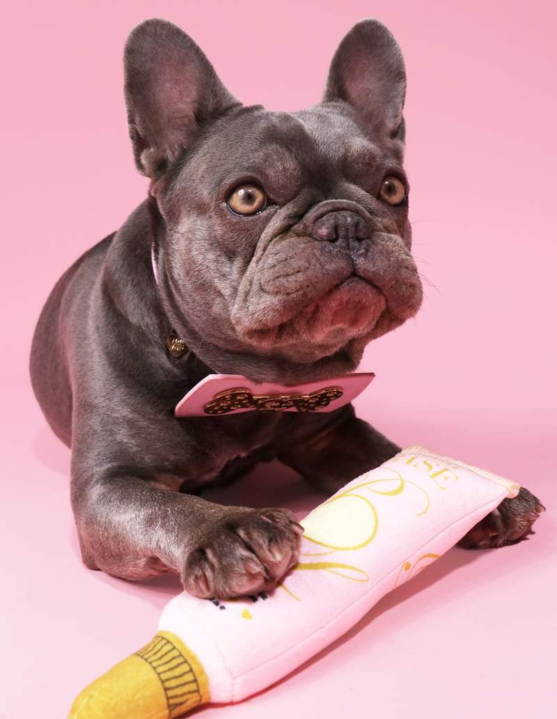 Juguete básico para perros