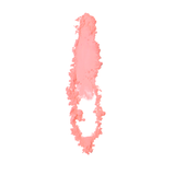 t4opción0_16