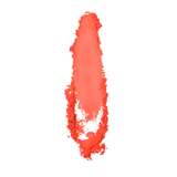 t4opción0_5
