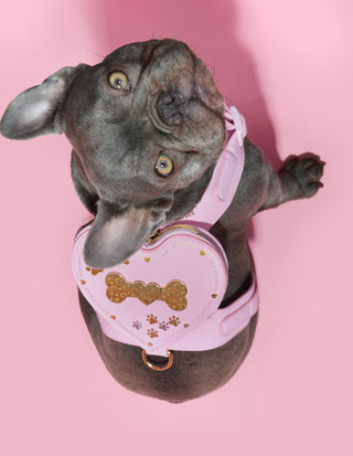 Mochila de chicote de cães p.louise