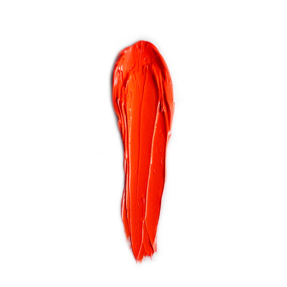 t4opción0_8
