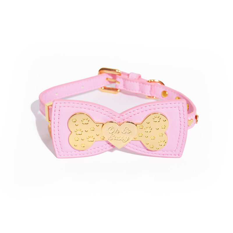 Collar de perro